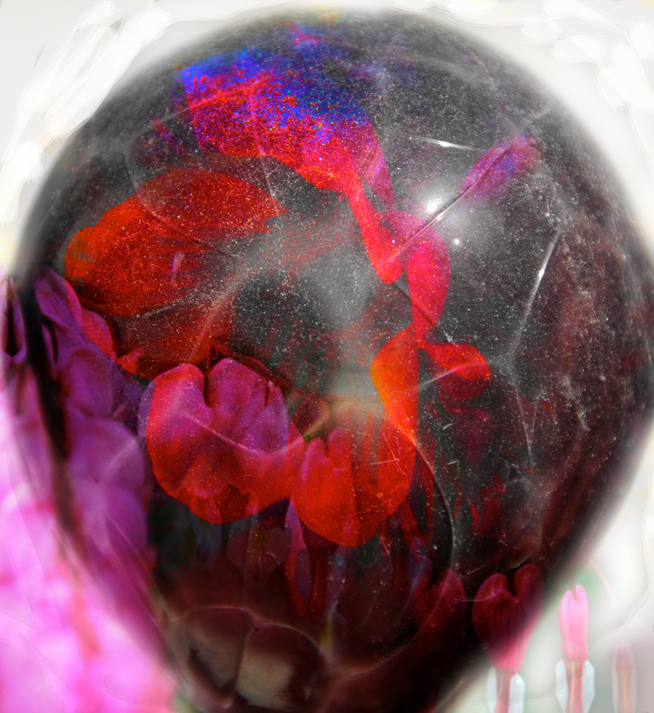 Crimson Flower Efflorescence Photo Montage ©Michael Dickel