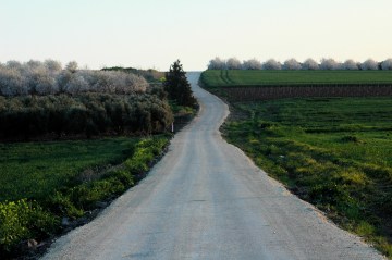 Road in Israel. Photo, ©2008 Michael Dickel