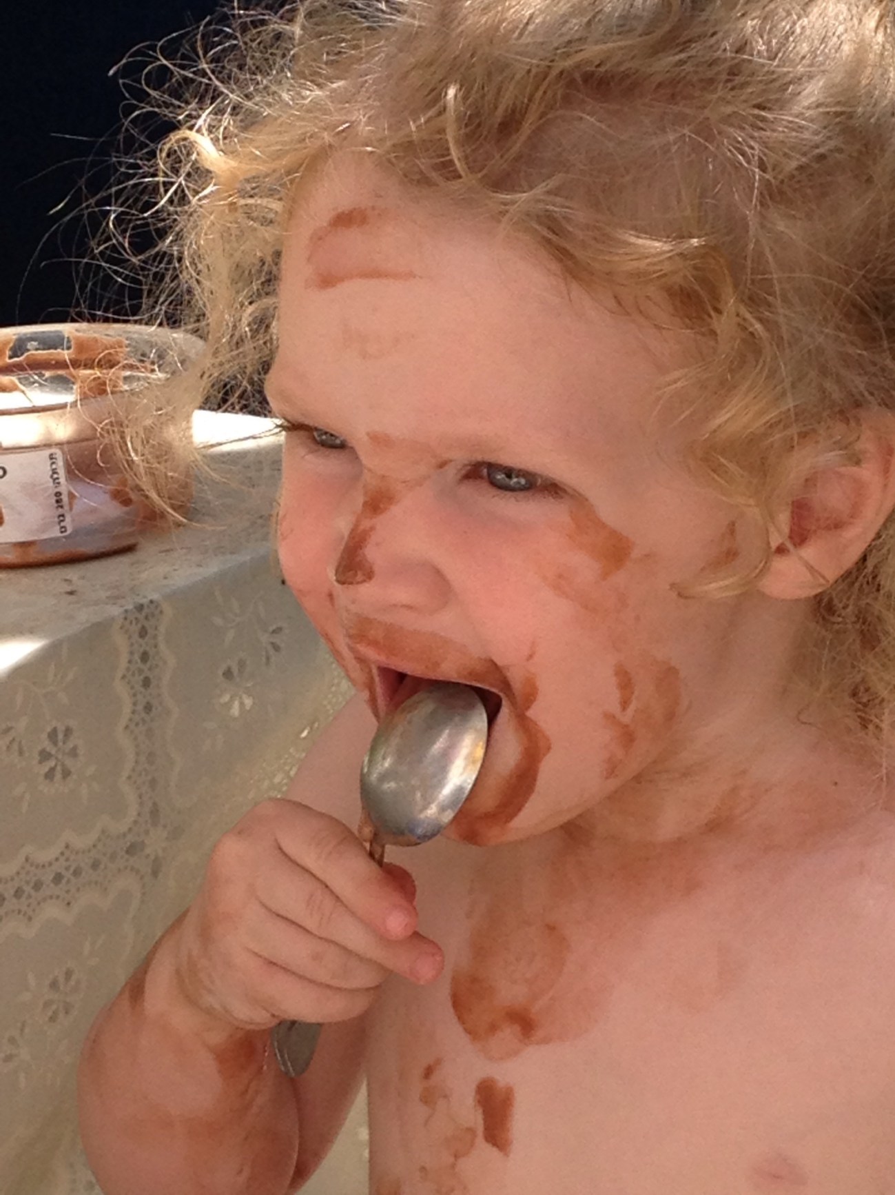 Chocolate Ice-Cream Delight