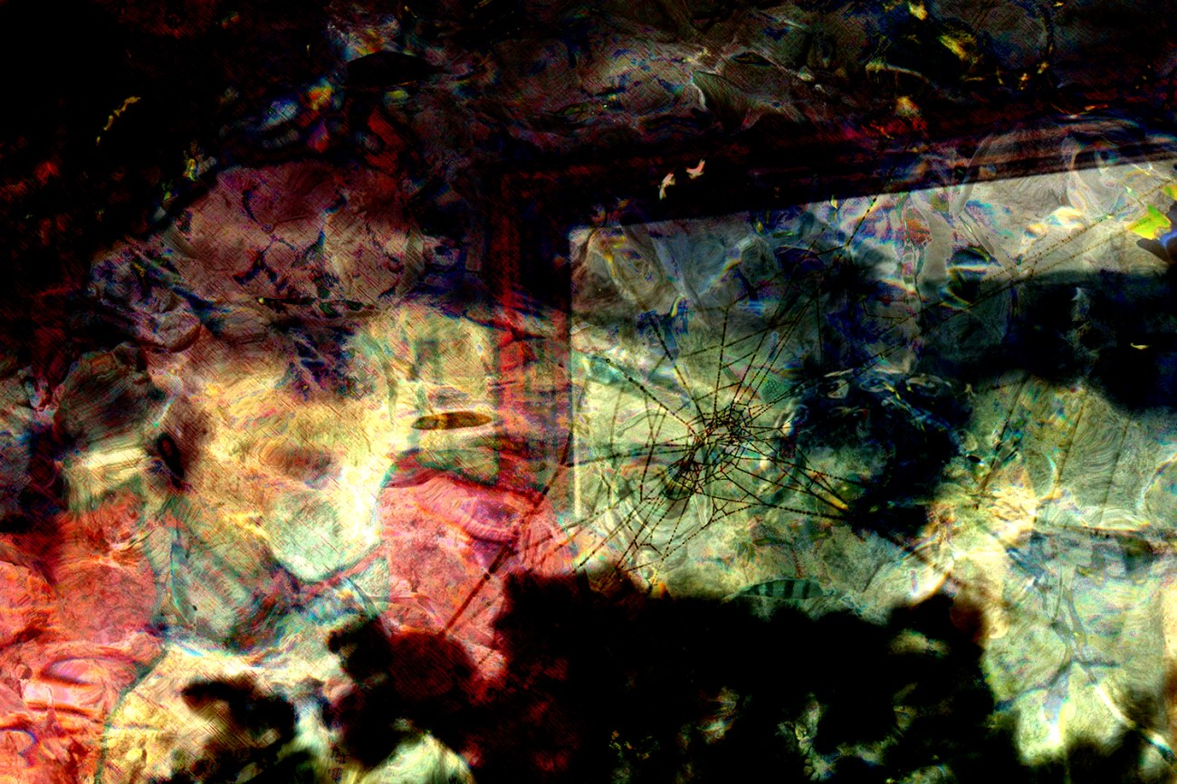 Narcissism poetics mylar Digital art from photos ©2015 Michael Dickel