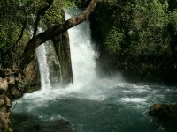 Banyas Water Falls, Israel, Photo ©2016 Michael Dickel to accompany Water Poems, poetry by Michael Dickel