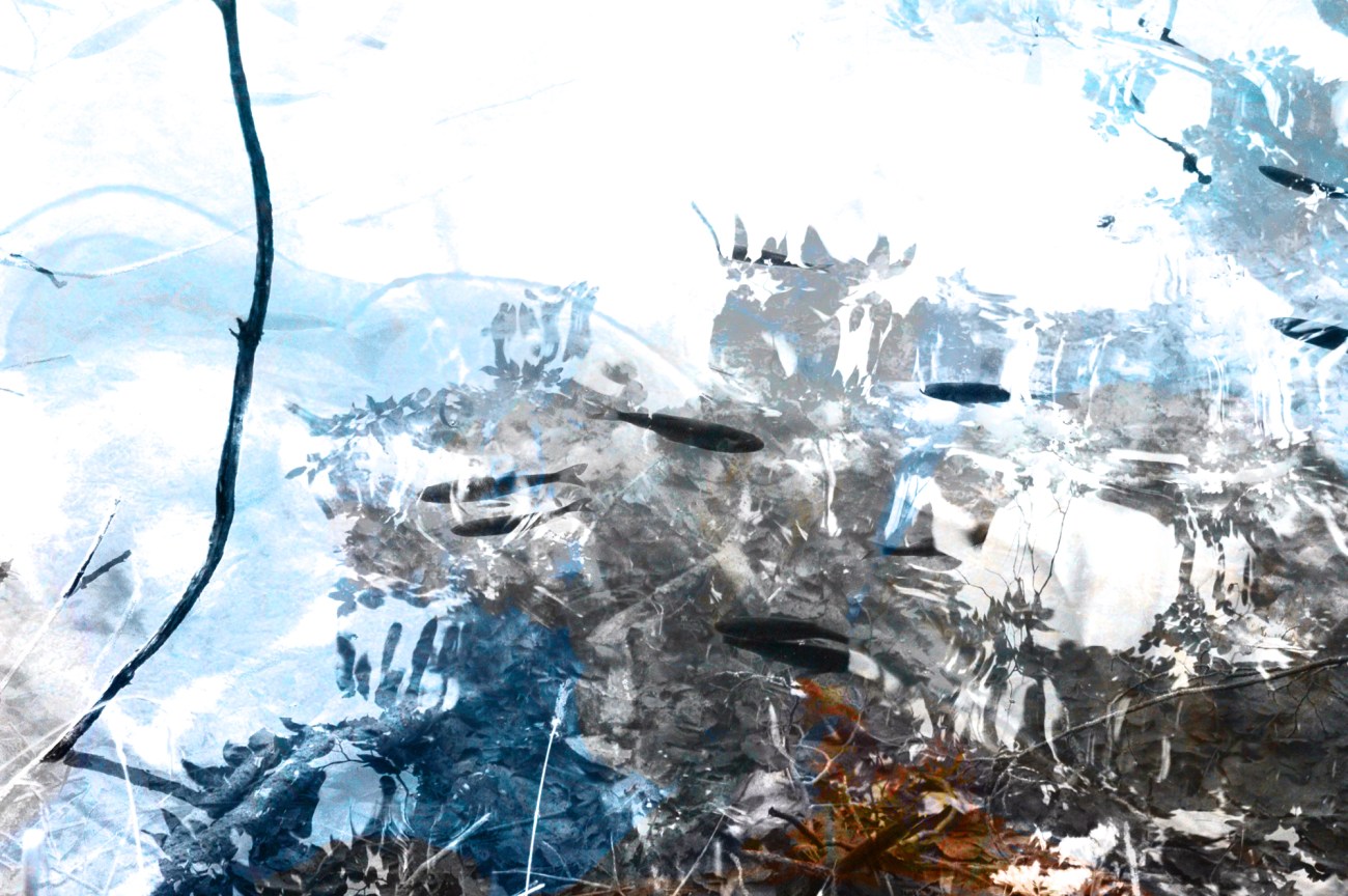 as blue flirts in the growing dark gray Digital landscape from photos created by Michael Dickel