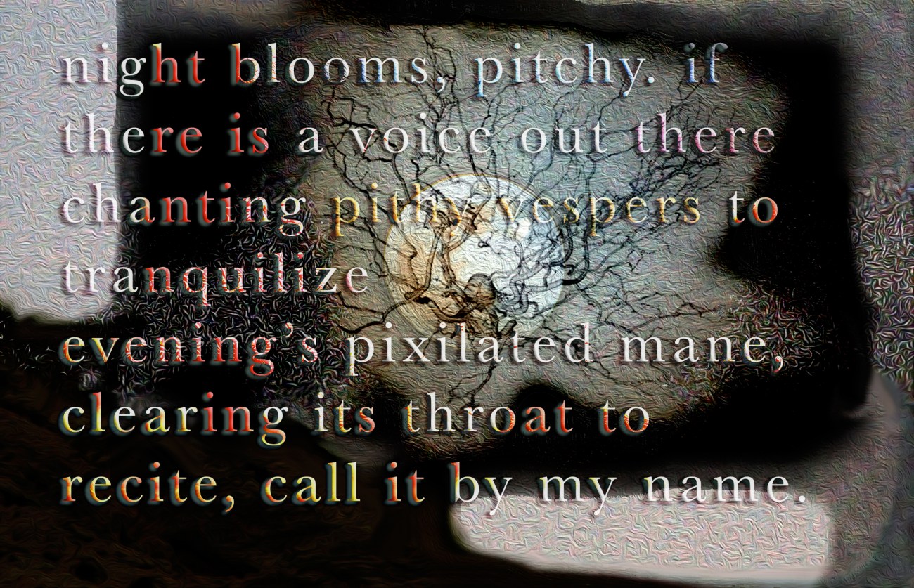 night blooms, pitchy Digital landscape from photos ©2017 Michael Dickel