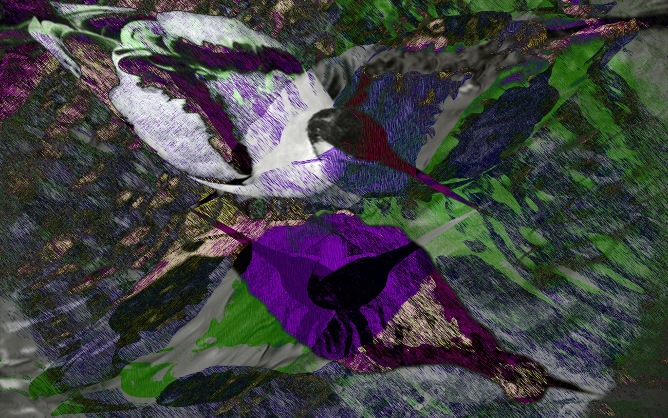Waterbird Purple digital landscape from photos ©2017 Michael Dickel